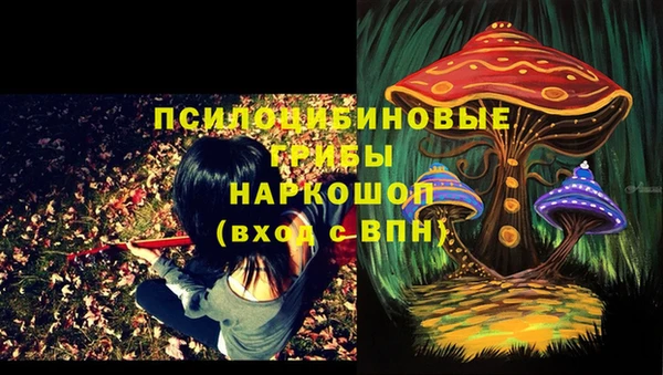 2c-b Белокуриха