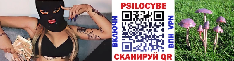 Псилоцибиновые грибы прущие грибы  Чердынь 